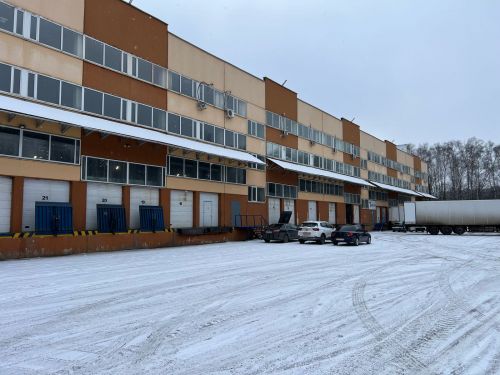 Львовский Тэнкард